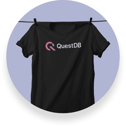 The QuestDB t-shirt, with fancy logo and the name.